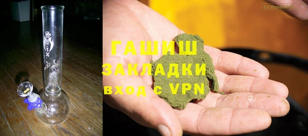 шишки Горняк