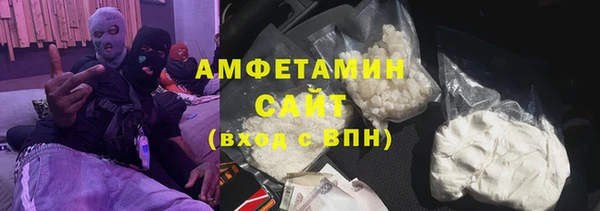 шишки Горняк