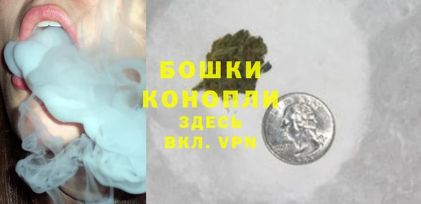 твердый Горнозаводск