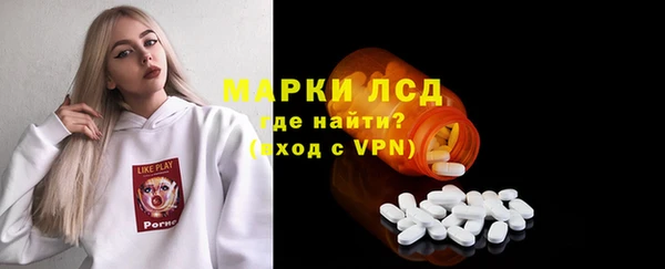 шишки Горняк