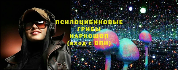 шишки Горняк