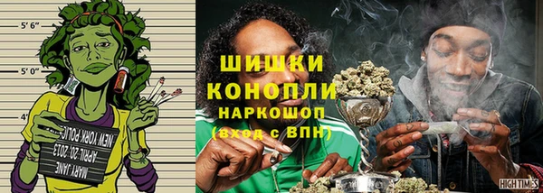 шишки Горняк