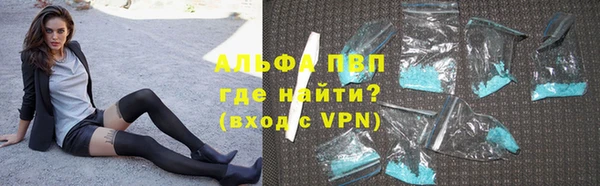 шишки Горняк