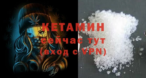шишки Горняк