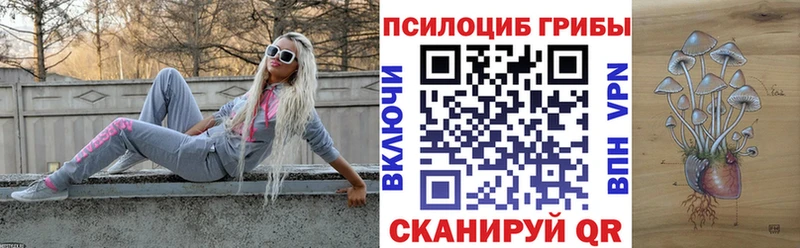 что такое наркотик  shop формула  Галлюциногенные грибы Psilocybine cubensis  Никольское 