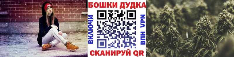Канабис сатива  Никольское 